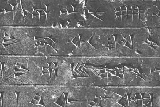 cuneiforme cuneiforme